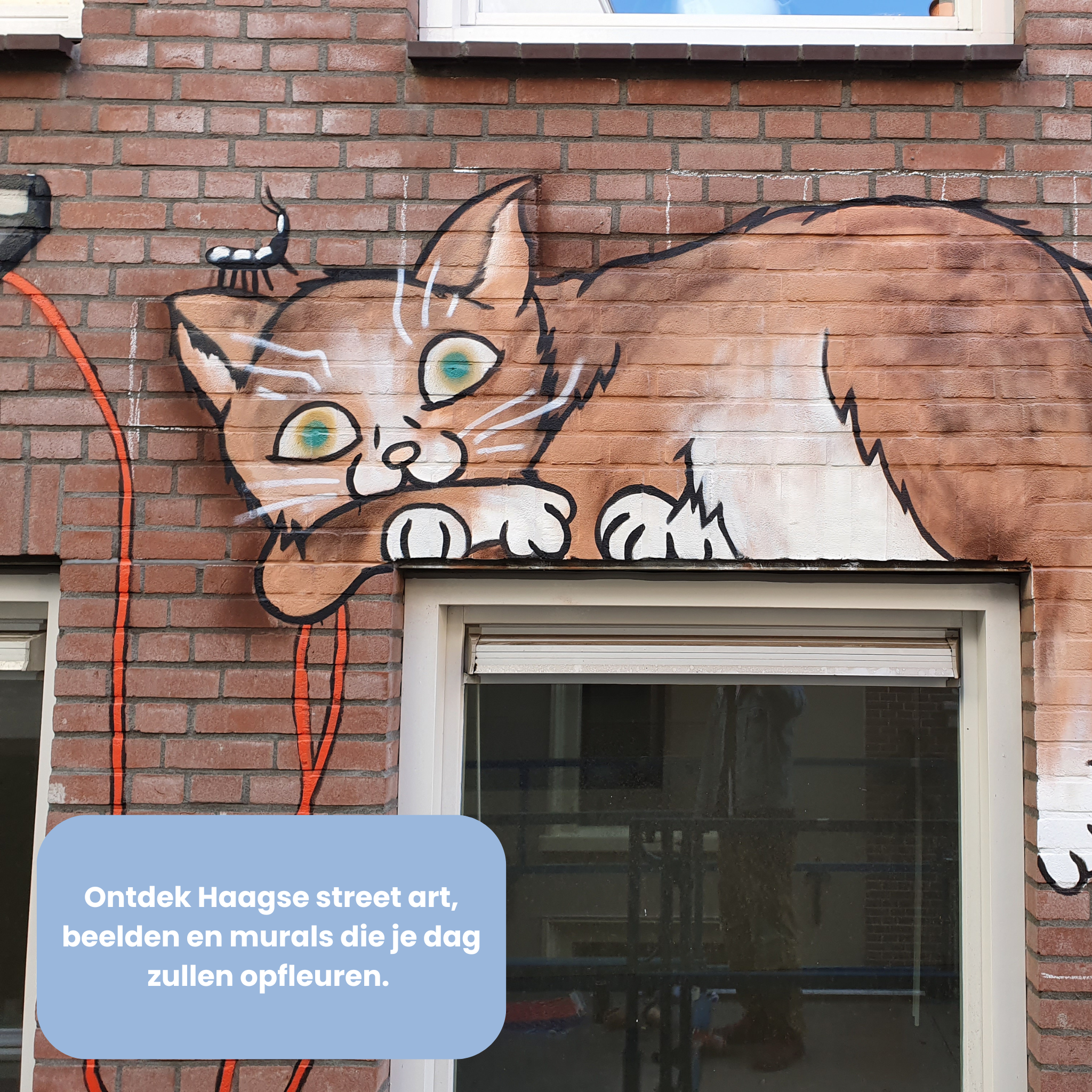 The Hague