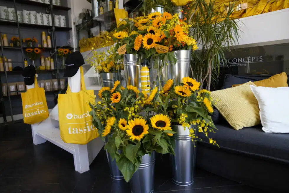 bumble_x_tassie.webp